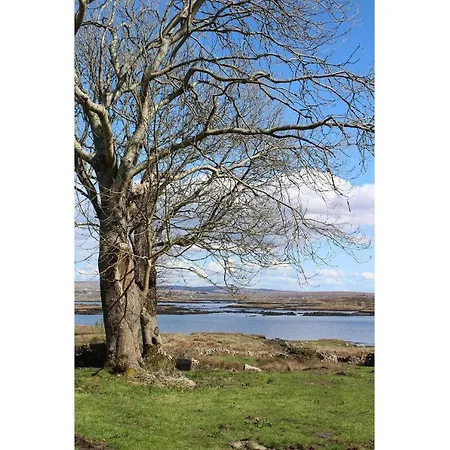 Seaside In Connemara *